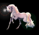 unicorn