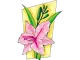 lily