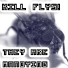 Annoying flys
