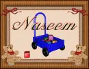 Naseem Toys