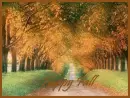 Happy Fall