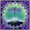 Dragonfly Debbie