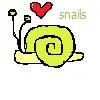 snail <3