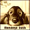 mondays suck doggie