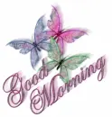 Sparkled Trio Butterflies -  Good Morning