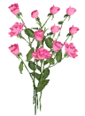 Pink Flower