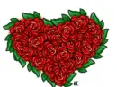 Heart of Roses