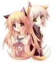 twin kittys