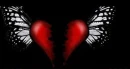 butterfly heart
