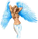 sexy angel