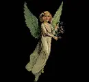 Green Wings