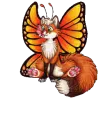 foxy butterfly
