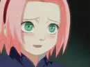 sakura little 