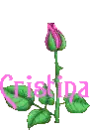 Name Cristina