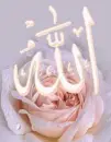 allah 