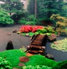 nature.