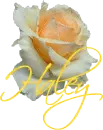Haley-Gold Rose