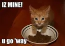 Iz mine