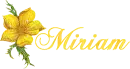Miriam-Gold Flower