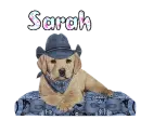 sarah dog mit hut