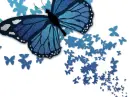 Glitter Butterflys