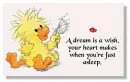 a dream is a wish