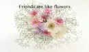 friends like flowers