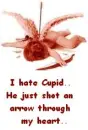 Cupid's Arrow