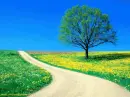 road 2 heaven