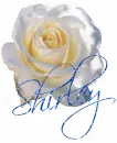 shirley