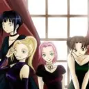 The Naruto Girls
