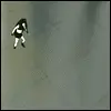 kick the baby