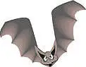 Batty