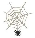 Spider Web