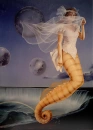 Seahorse Siern