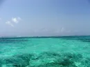 Wateryclear