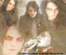Creature of the night collage