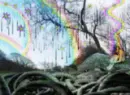 Animation