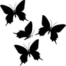 black butterflies