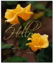 Hello