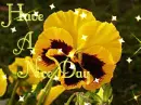 Have A Nice Day