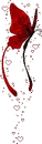 red butterfly