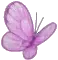 purple butterfly