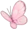 light pink butterfly