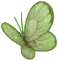 green butterfly