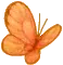 orange butterfly