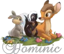 Dominic