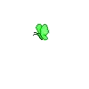 green butterfly