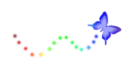 Colorful Butterfly