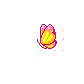 Pink and Yellow Butterfly